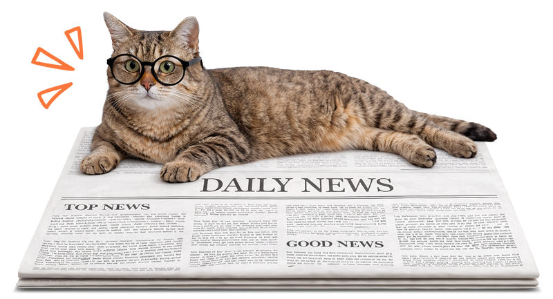 Cat with glasses, lying on a newspaper