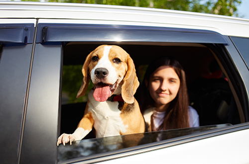 Young girl sitting with her dog in a car