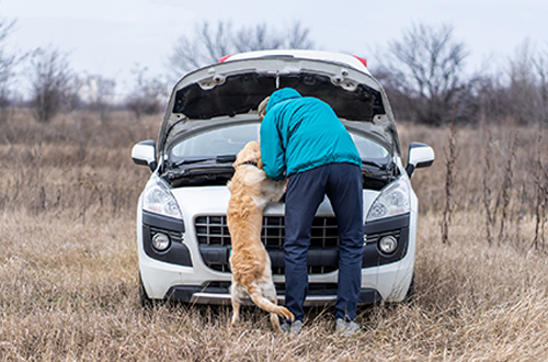 Man next with his dog trying to fix his vehicle in field